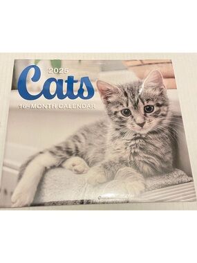 2025 Cats And Kittens 16 Month Calendar 11 x 10 Sealed New.